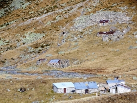 2017-10-28 Laghi di Tres e di Venere (35)