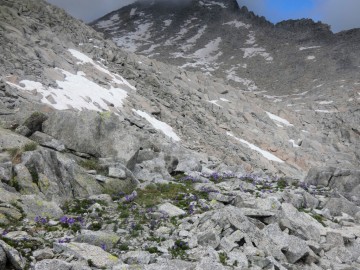 2020-07-19-lago-Scarpacò-48