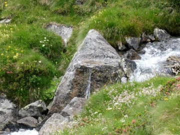 2020-07-19-lago-Scarpacò-94