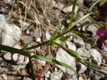 2014-03-30  valle di Sur 002