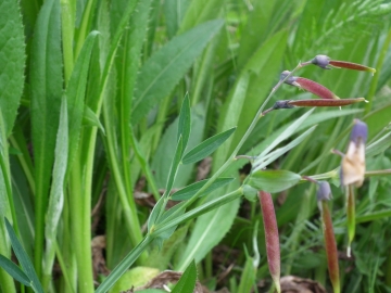 2012-04-22 san vito 065