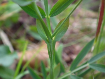2012-04-22 san vito 069
