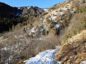 2017-12-09 cerve sotto il Meghè (11)