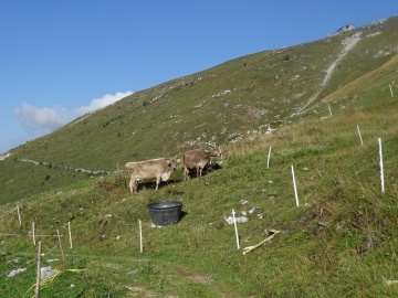 2022-09-04-passo-Re-e-Leten-18