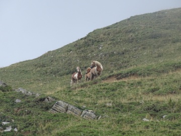 2022-09-04-passo-Re-e-Leten-54