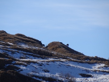 2021-11-20-malga-Cadria-34