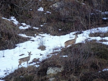 2021-11-20-malga-Cadria-49