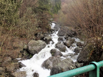 2019-04-25 malga Capre da Riccomassimo (10)