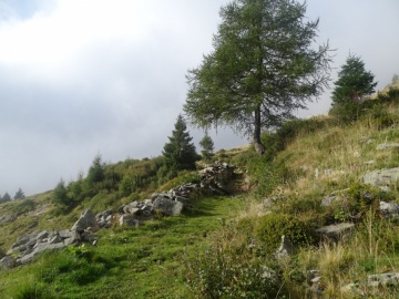 2026-09-16-Val-Bona-di-Bazena-21