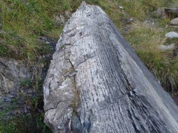 2026-09-16-Val-Bona-di-Bazena-33