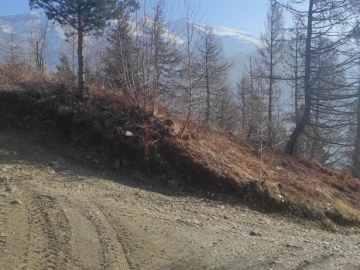 2025-04-05-malga-Mesorzo-12