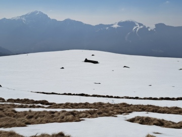 2025-04-05-malga-Mesorzo-25