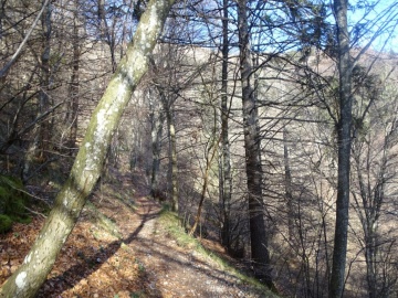 2025-03-30-Malga-Pontogna-15