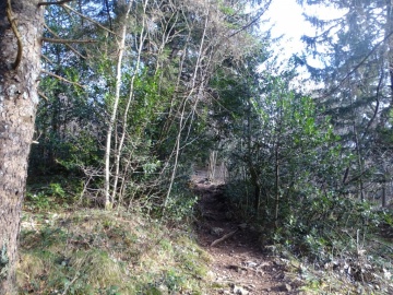 2025-03-30-Malga-Pontogna-16