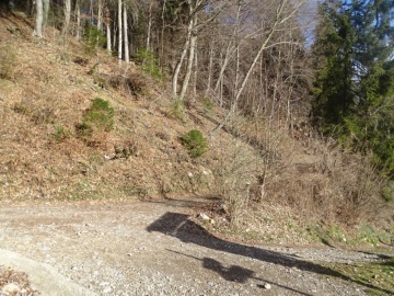2025-03-30-Malga-Pontogna-19