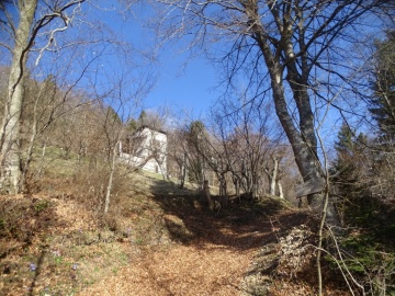 2025-03-30-Malga-Pontogna-20