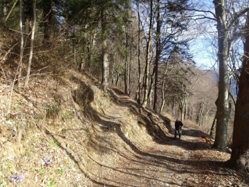 2025-03-30-Malga-Pontogna-21