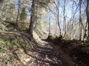 2025-03-30-Malga-Pontogna-27