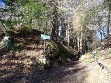 2025-03-30-Malga-Pontogna-31