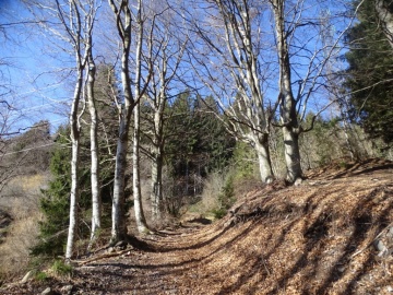 2025-03-30-Malga-Pontogna-32
