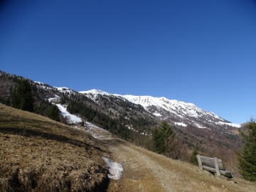 2025-03-30-Malga-Pontogna-34