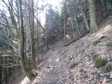 2025-03-30-Malga-Pontogna-42