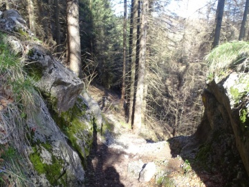 2025-03-30-Malga-Pontogna-43