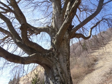 2025-03-30-Malga-Pontogna-49