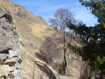 2025-03-30-Malga-Pontogna-50