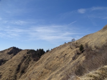 2025-03-30-Malga-Pontogna-52