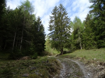 2026-05-20-malga-Stabol-Fresco-14
