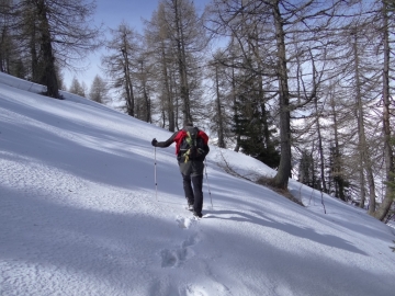 2019-04-27 malga Vacil da Faserno (32)