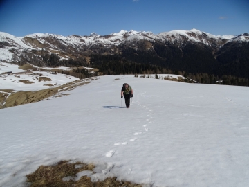 2019-05-01 Cristo dei venti e Malga Vacil (40)