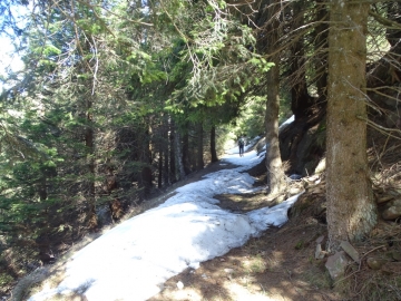 2019-05-01 Cristo dei venti e Malga Vacil (53)