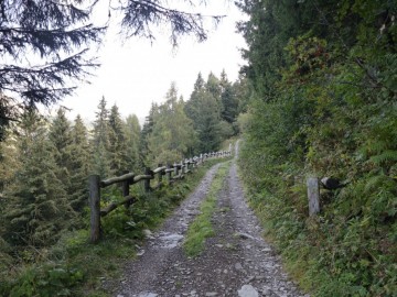 2026-09-12-malga-Varicla-e-Cavallaro-33