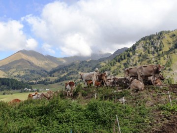 2026-09-12-malga-Varicla-e-Cavallaro-38