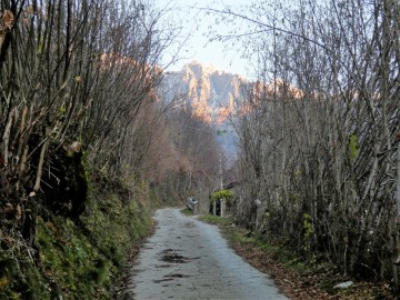 2019-12-04-malga-Vesgheno-12