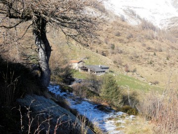 2019-12-04-malga-Vesgheno-52