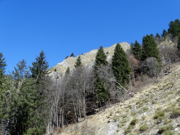 2019-03-24 Malga Vies da Croina Tiarno (36)