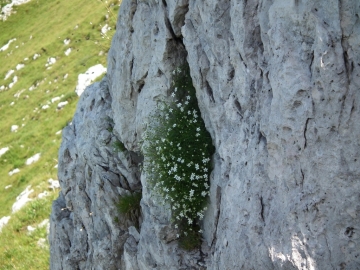 2011-07-24 alben e croce 166
