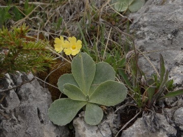 2022-05-27-sul-monte-Benna-62