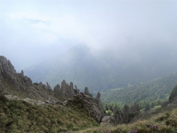2022-05-27-sul-monte-Benna-63