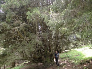 2022-05-27-sul-monte-Benna-70