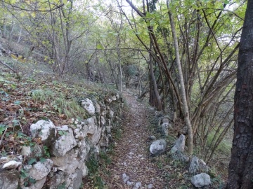 2023-11-18-monte-Calino-24
