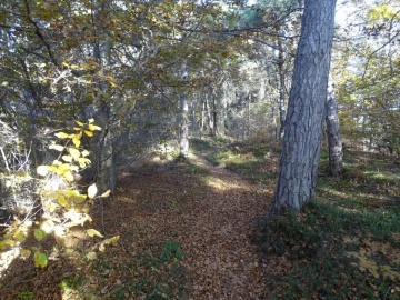 2023-11-18-monte-Calino-47
