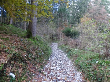 2023-11-18-monte-Calino-66