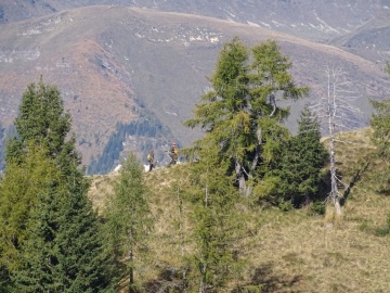 2021-10-13-cima-Carena-41