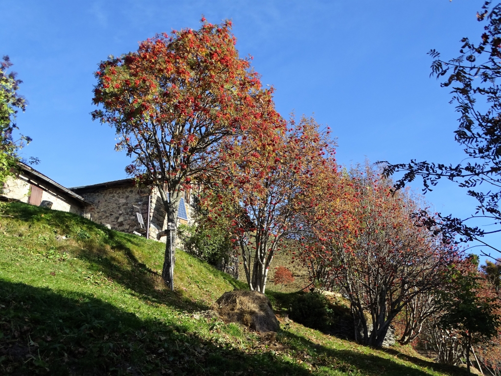 2018-10-24 monte Carena (12)