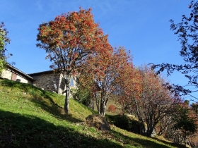 2018-10-24 monte Carena (12)