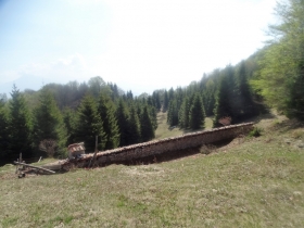 2018-04-25 monte Foldone da Catremerio (74)